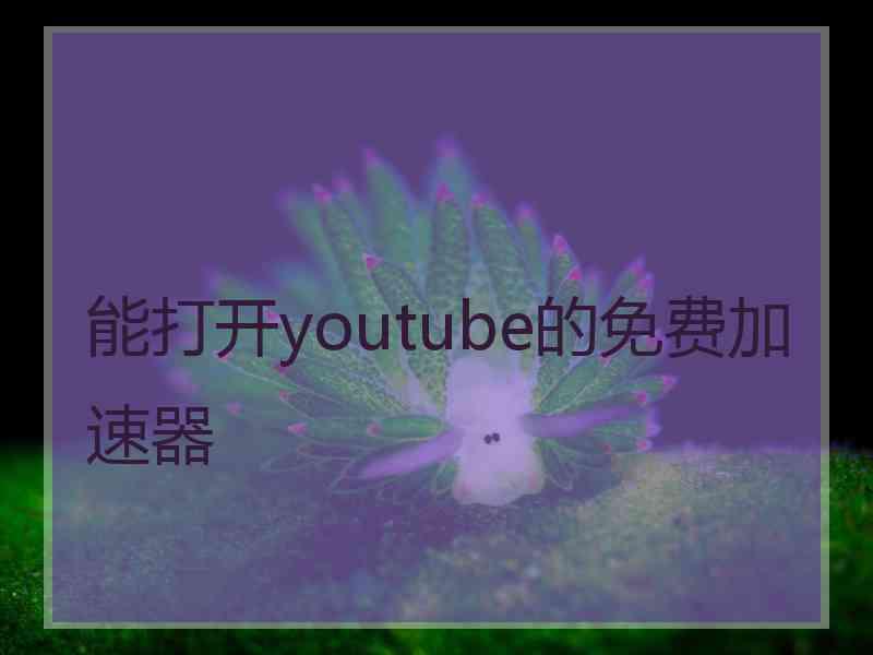 能打开youtube的免费加速器