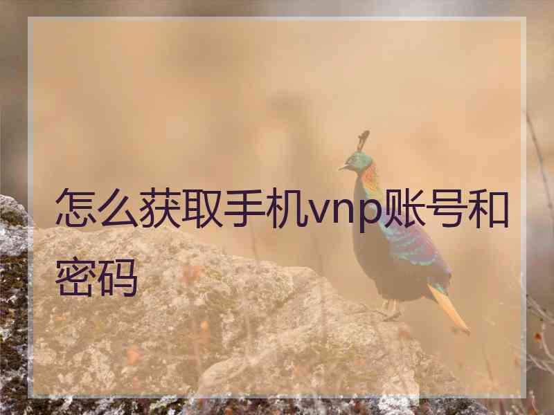 怎么获取手机vnp账号和密码