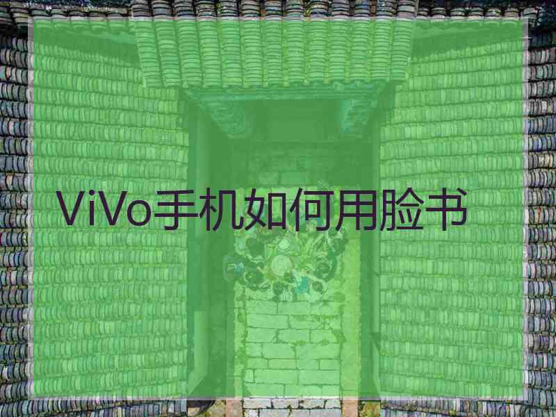 ViVo手机如何用脸书