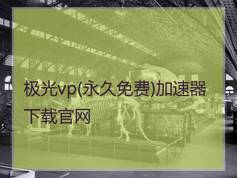 极光vp(永久免费)加速器下载官网