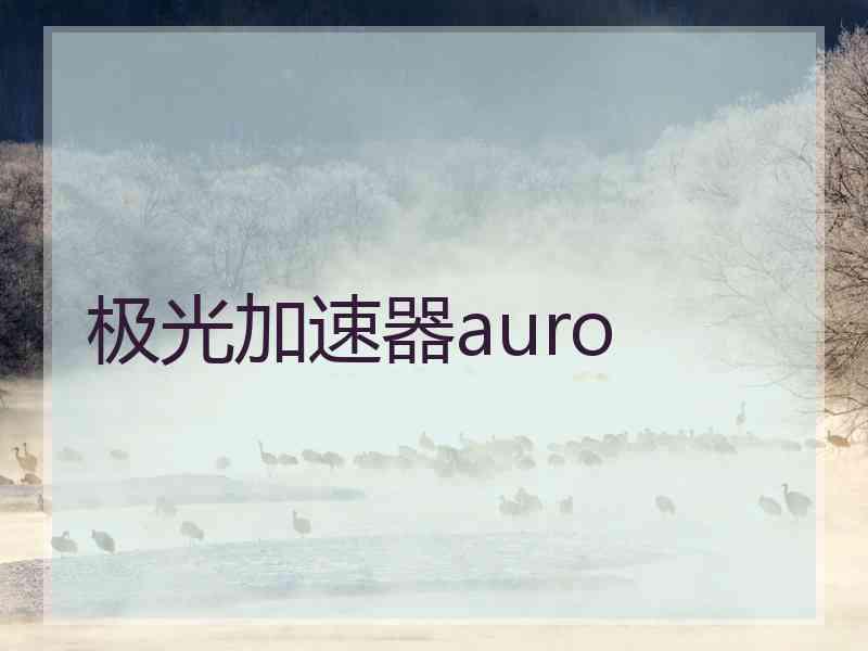 极光加速器auro