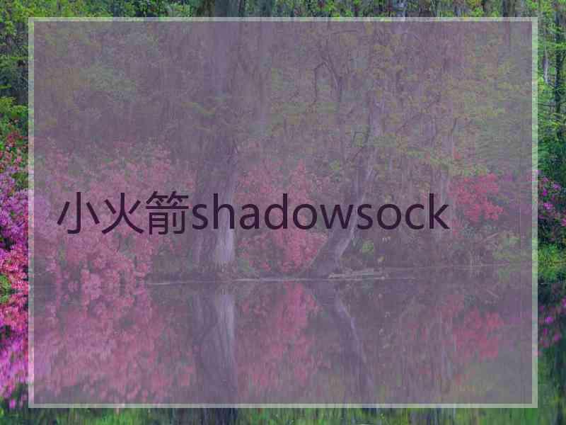 小火箭shadowsock