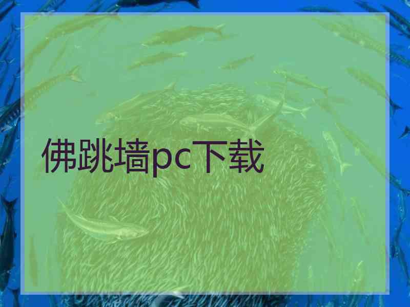 佛跳墙pc下载