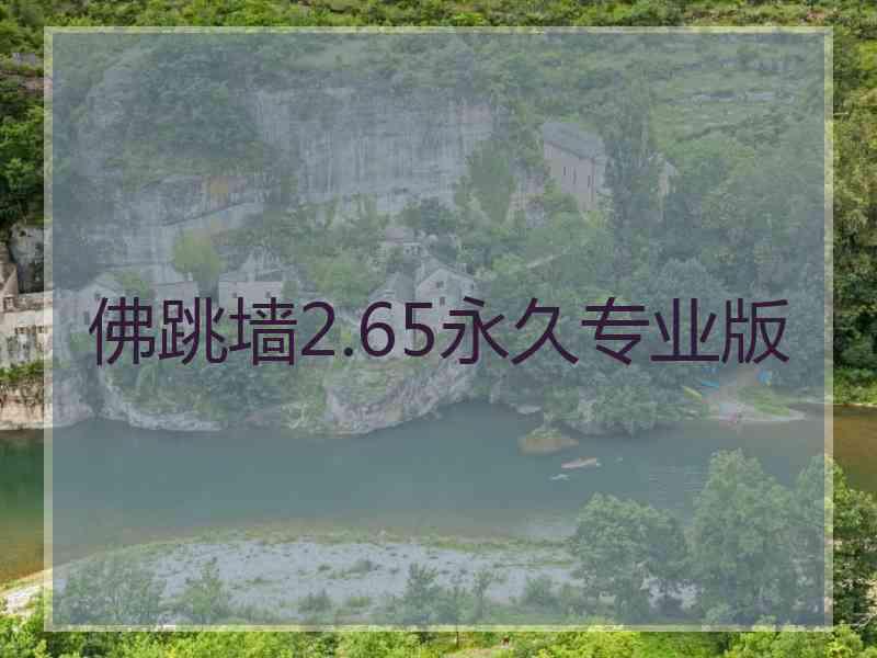 佛跳墙2.65永久专业版