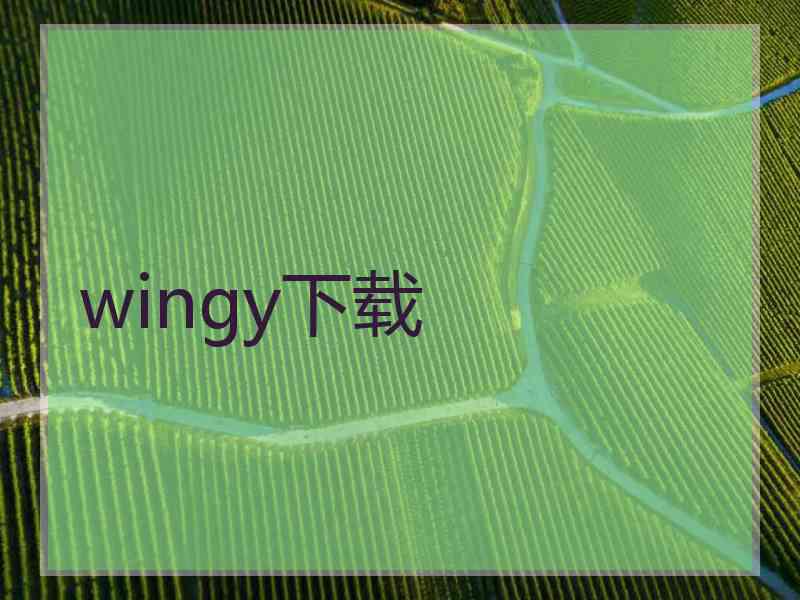 wingy下载