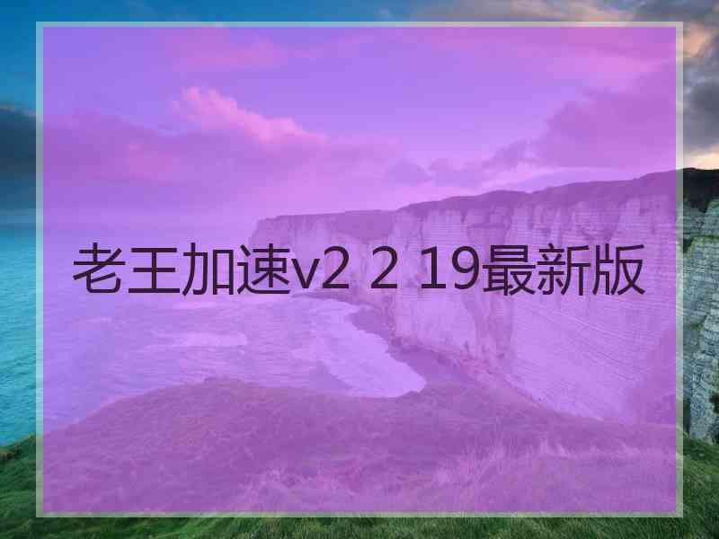 老王加速v2 2 19最新版