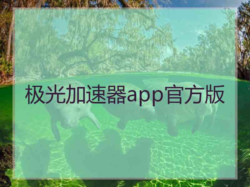 极光加速器app官方版