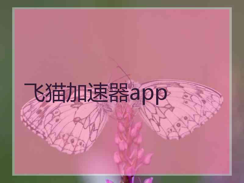 飞猫加速器app