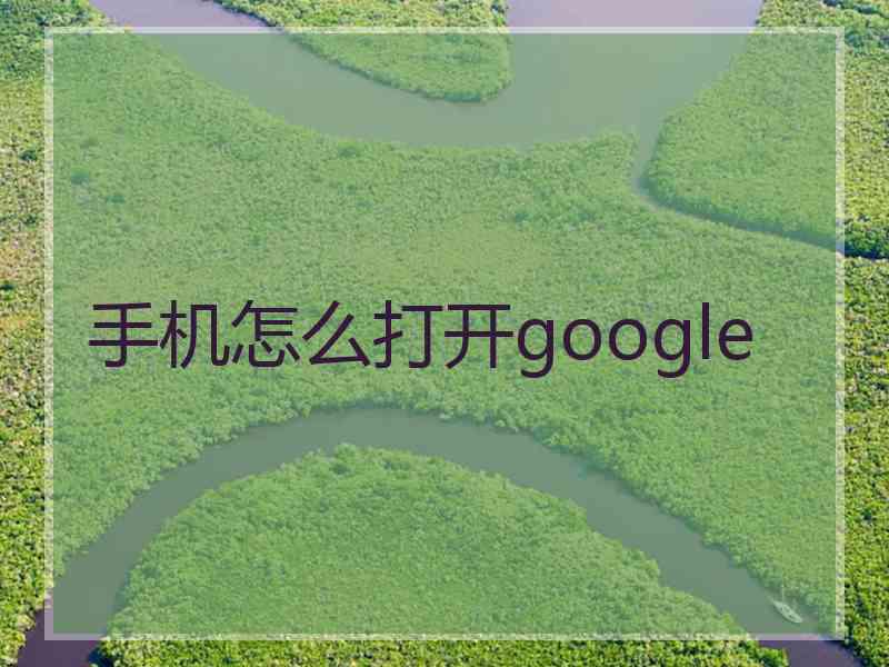 手机怎么打开google