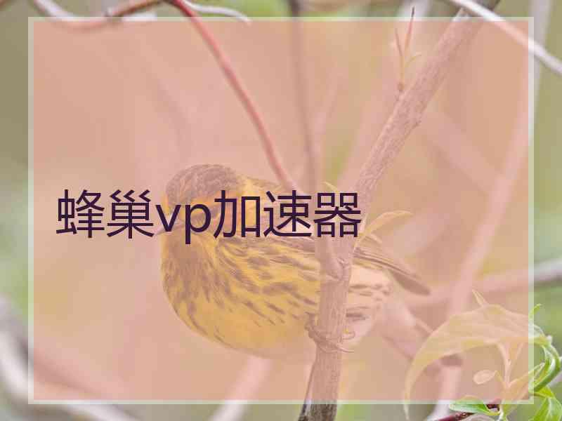 蜂巢vp加速器