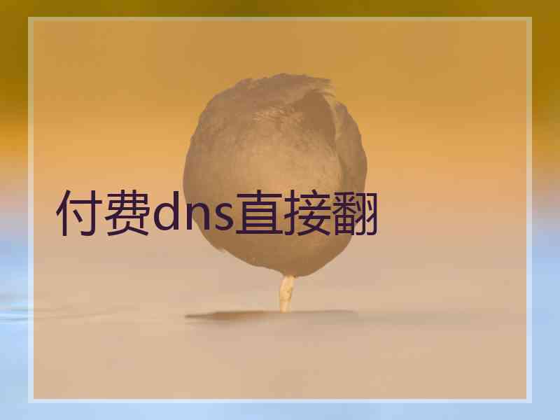 付费dns直接翻