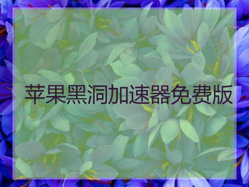 苹果黑洞加速器免费版