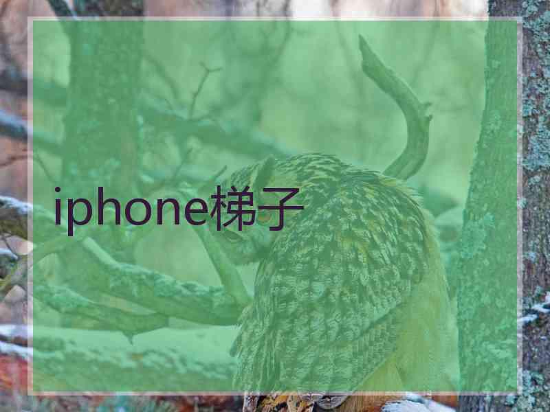 iphone梯子