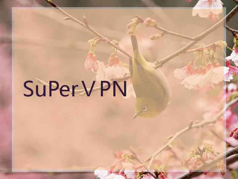 SuPerⅤPN