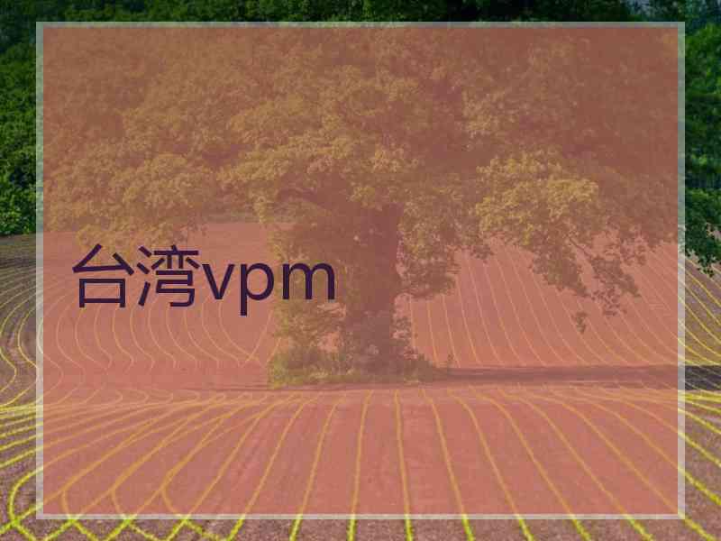 台湾vpm