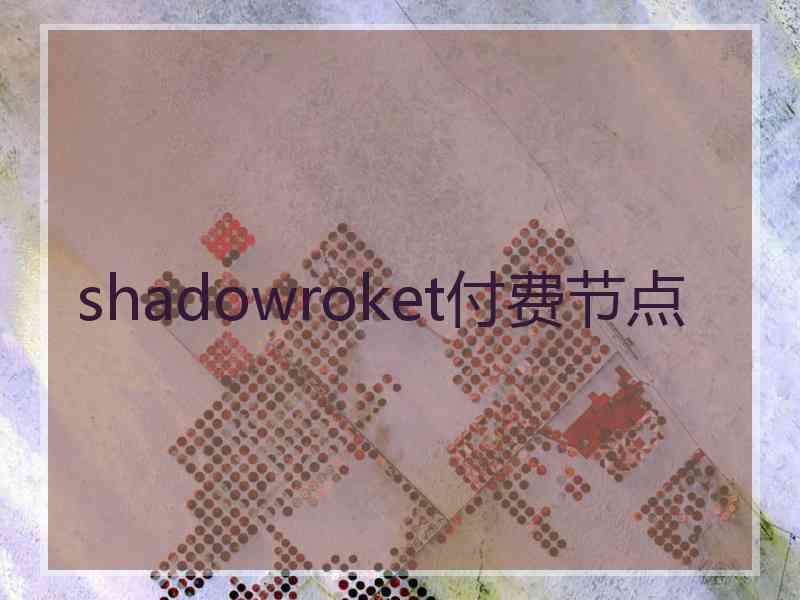 shadowroket付费节点