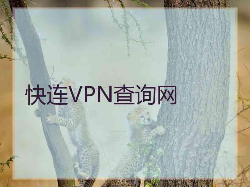 快连VPN查询网