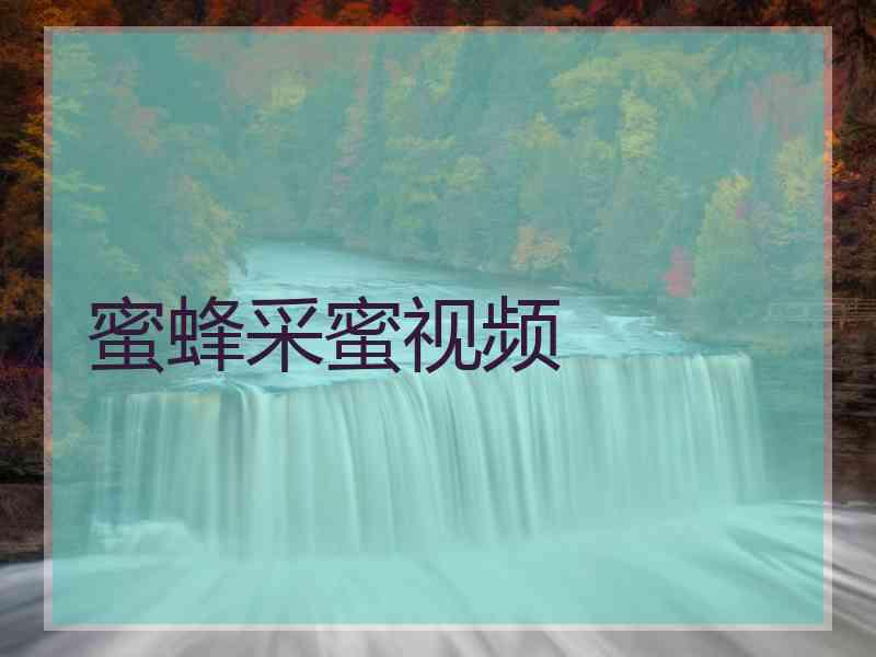 蜜蜂采蜜视频 蜜蜂采蜜视频