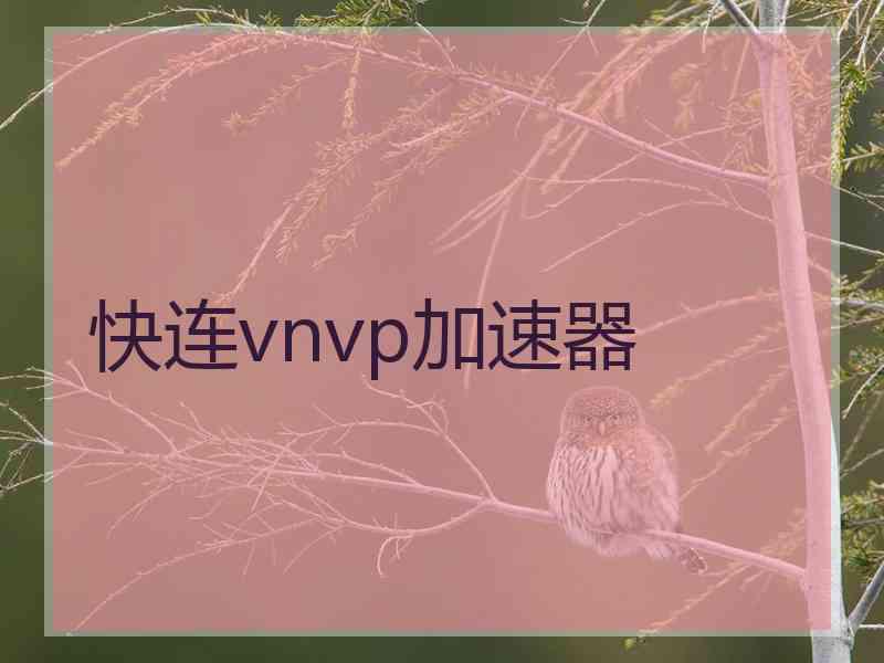 快连vnvp加速器