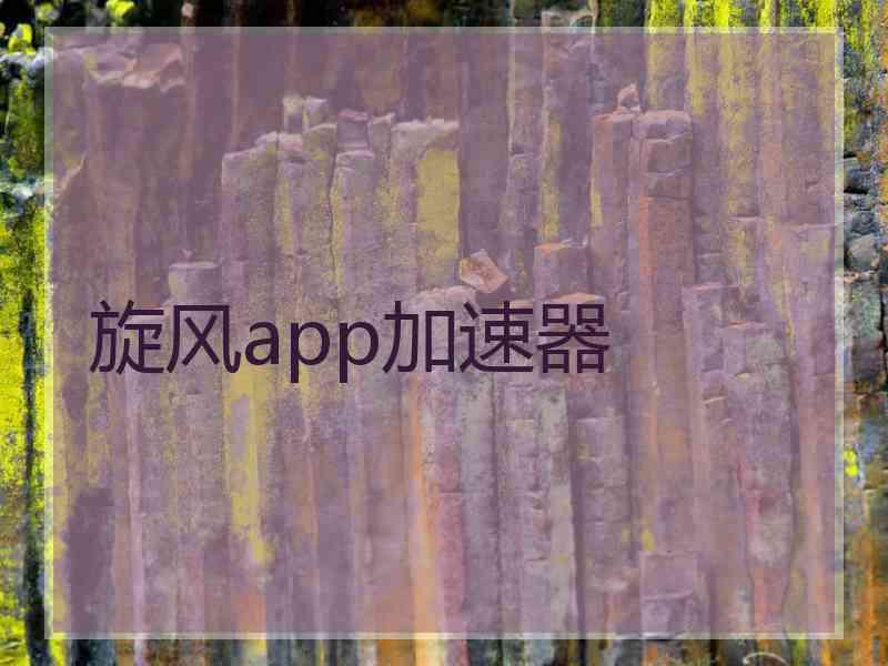 旋风app加速器