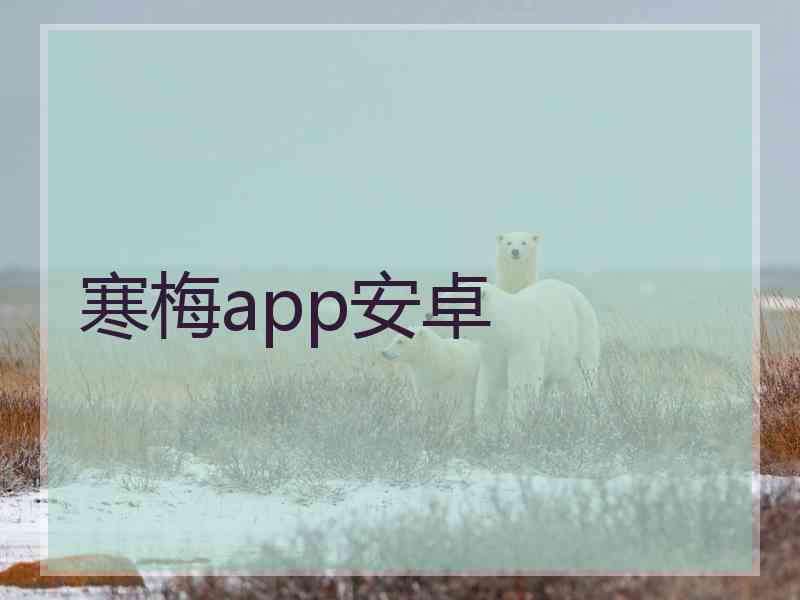 寒梅app安卓