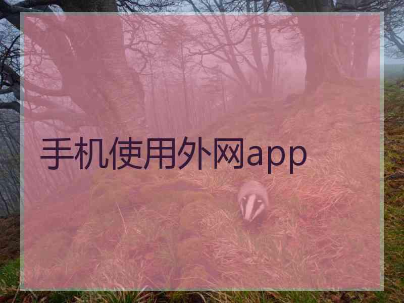 手机使用外网app