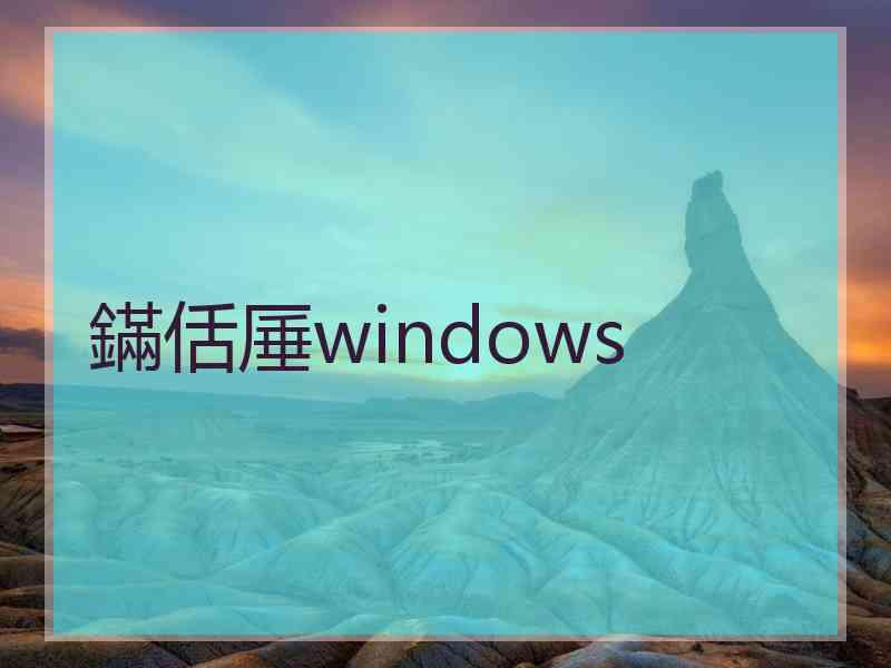 鏋佸厜windows