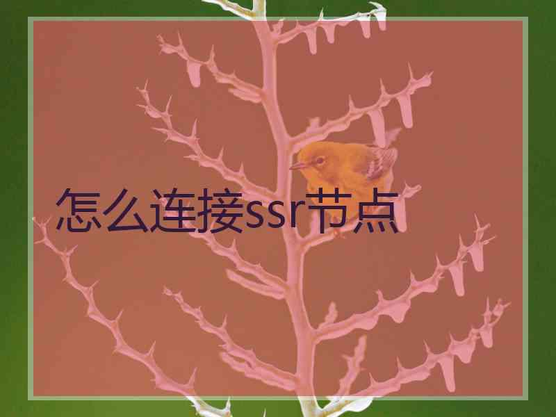 怎么连接ssr节点