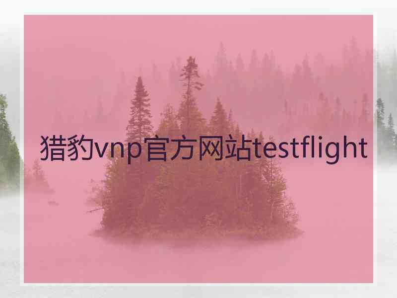猎豹vnp官方网站testflight