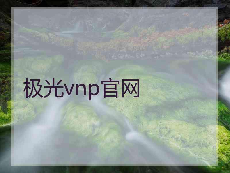 极光vnp官网