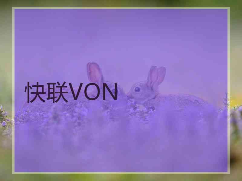 快联VON