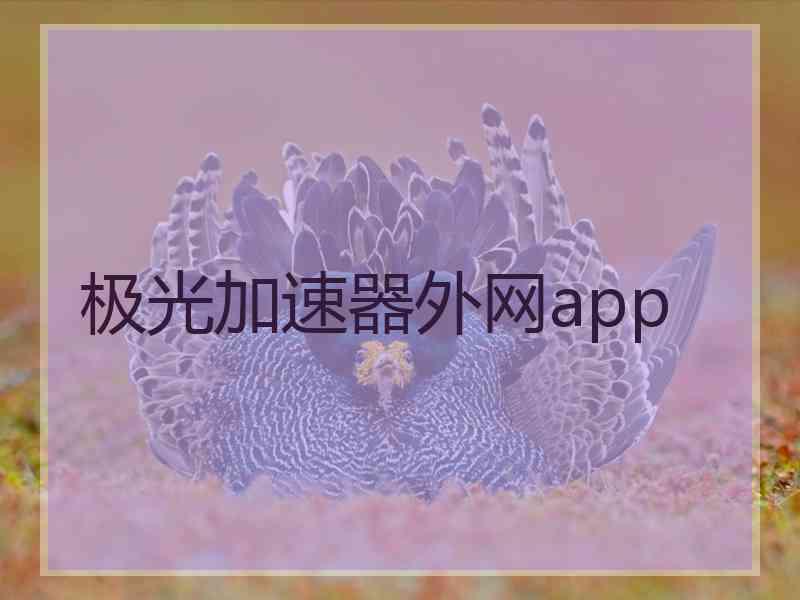 极光加速器外网app