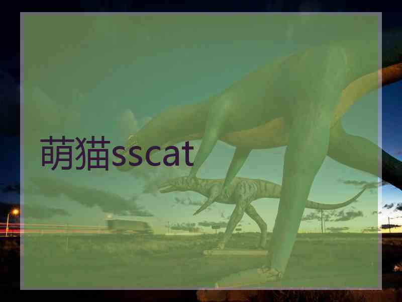 萌猫sscat