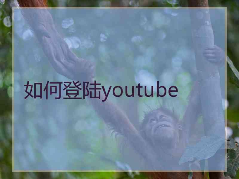 如何登陆youtube