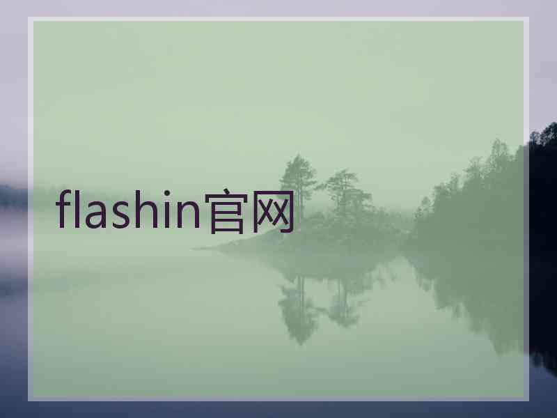 flashin官网