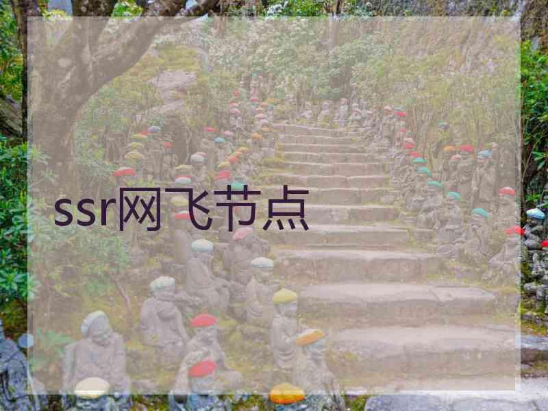 ssr网飞节点