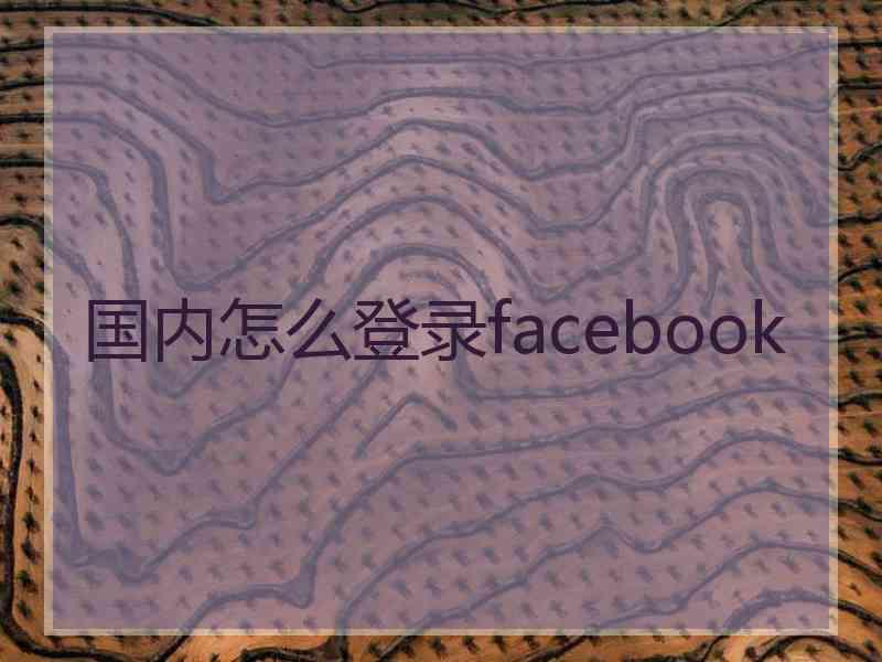 国内怎么登录facebook