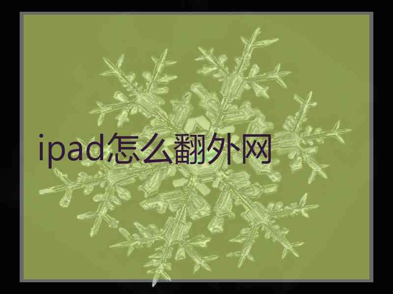 ipad怎么翻外网