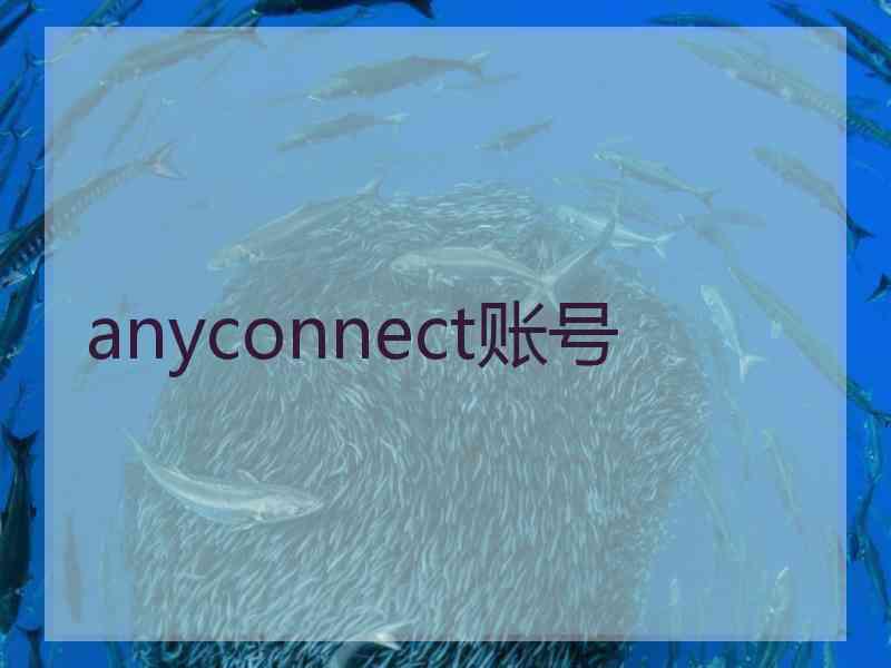 anyconnect账号