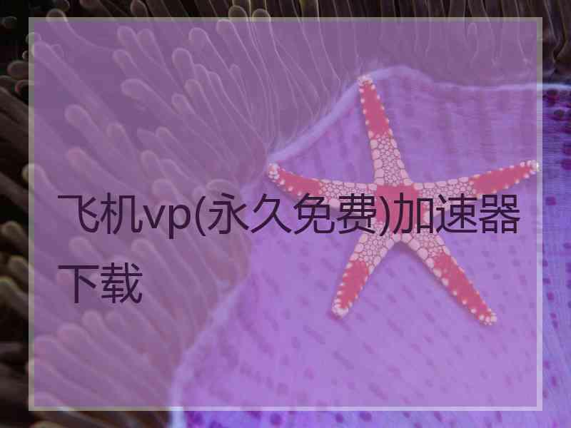 飞机vp(永久免费)加速器下载