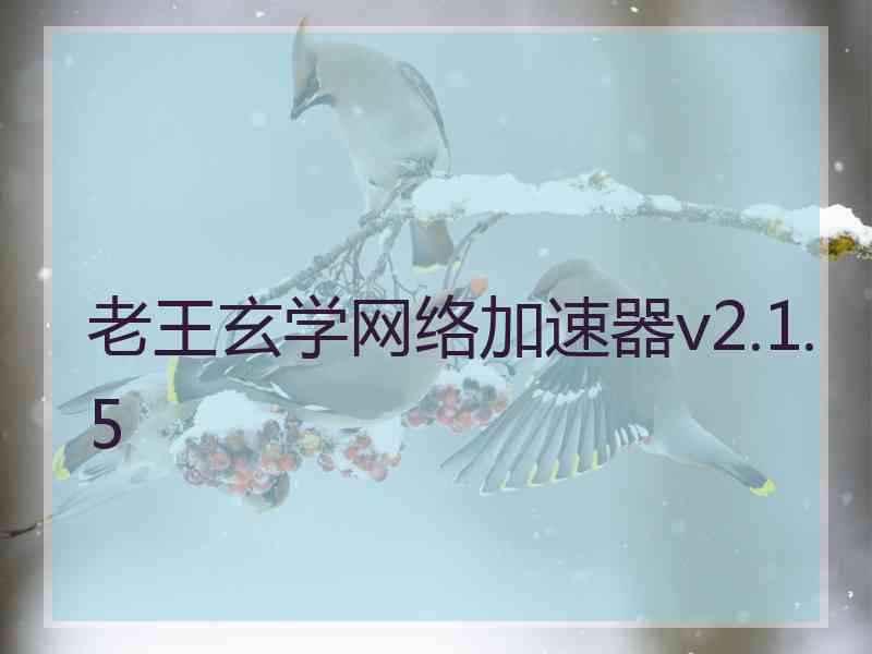 老王玄学网络加速器v2.1.5