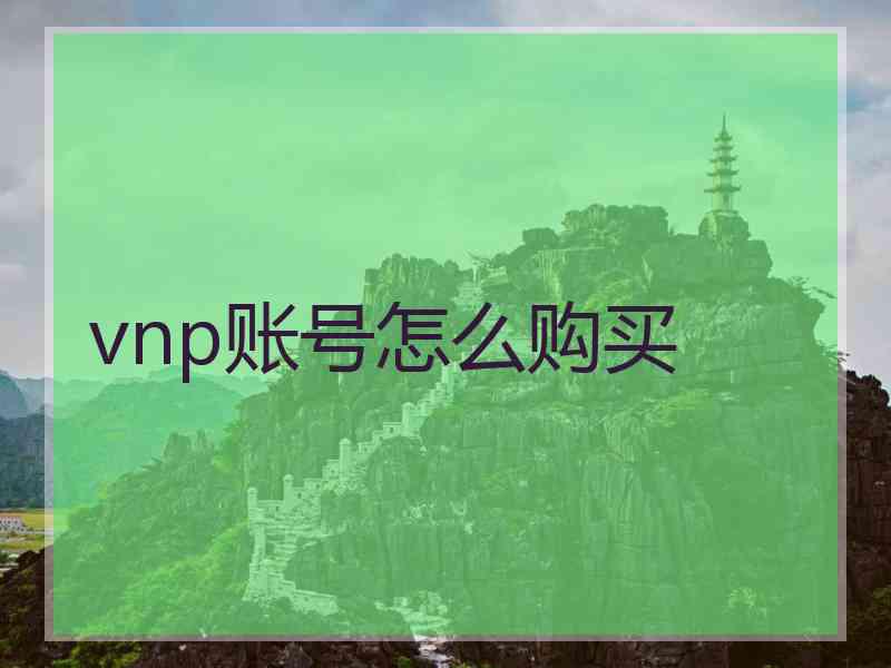 vnp账号怎么购买