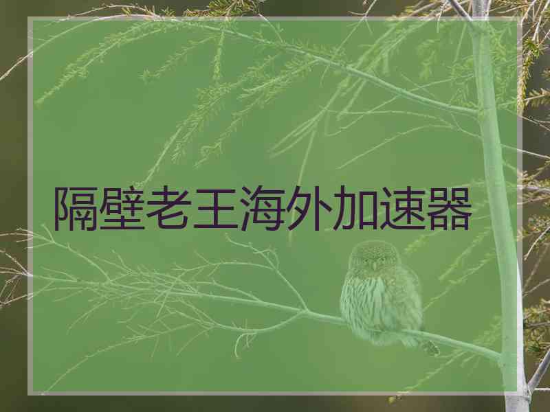 隔壁老王海外加速器