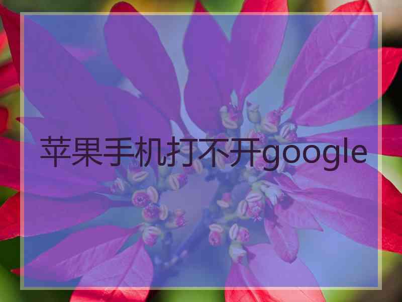 苹果手机打不开google