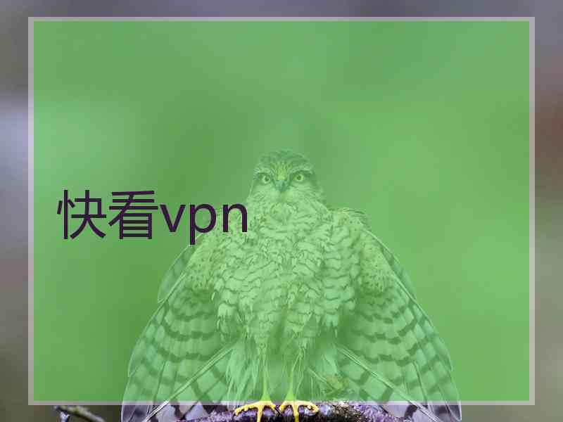 快看vpn