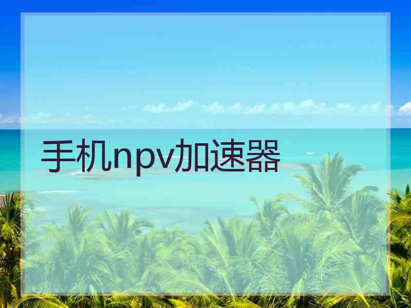 手机npv加速器