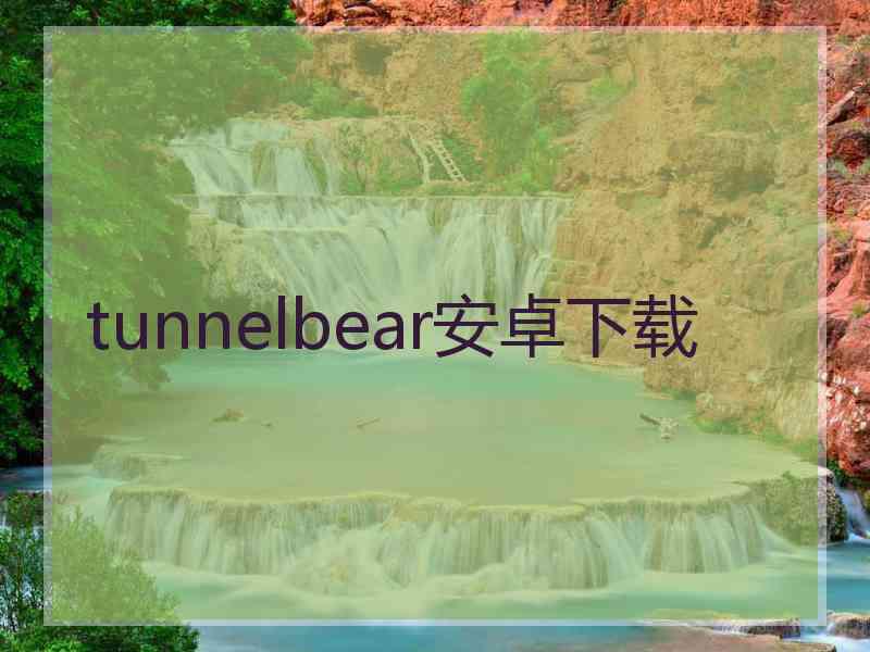 tunnelbear安卓下载