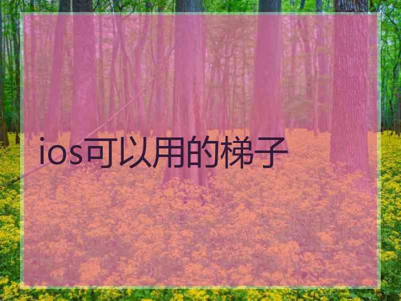 ios可以用的梯子