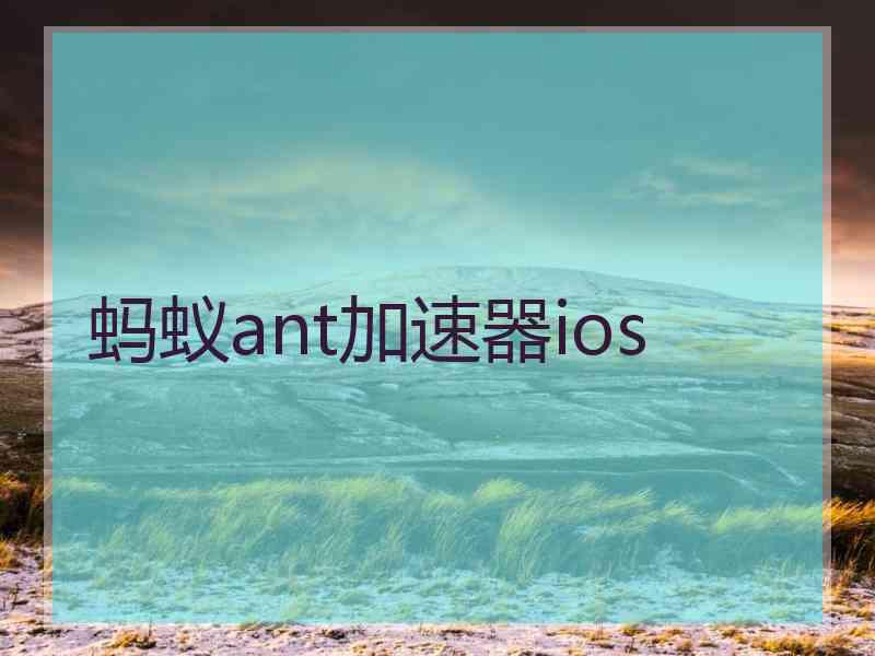 蚂蚁ant加速器ios