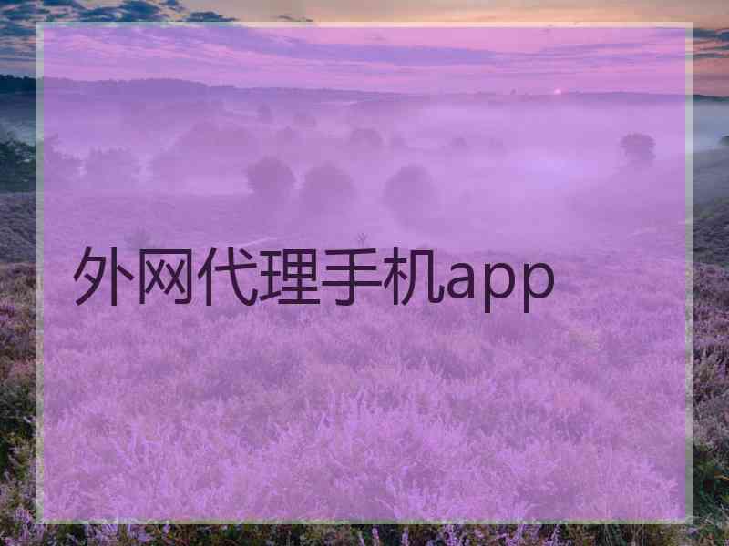 外网代理手机app